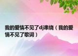 我的愛(ài)情不見(jiàn)了dj串燒（我的愛(ài)情不見(jiàn)了歌詞）
