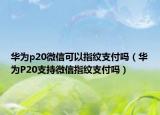 華為p20微信可以指紋支付嗎（華為P20支持微信指紋支付嗎）