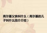 高爾基父親叫什么（高爾基的兒子叫什么簡(jiǎn)介介紹）