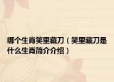 哪個(gè)生肖笑里藏刀（笑里藏刀是什么生肖簡介介紹）