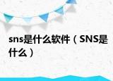 sns是什么軟件（SNS是什么）