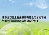 地下城與勇士白金徽章有什么用（地下城與勇士白金徽章怎么用簡介介紹）