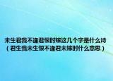 未生君我不逢君恨時(shí)嫁這幾個(gè)字是什么詩（君生我未生恨不逢君未嫁時(shí)什么意思）