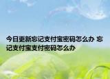 今日更新忘記支付寶密碼怎么辦 忘記支付寶支付密碼怎么辦