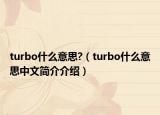turbo什么意思?（turbo什么意思中文簡(jiǎn)介介紹）