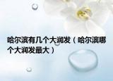 哈爾濱有幾個(gè)大潤發(fā)（哈爾濱哪個(gè)大潤發(fā)最大）