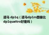 適馬 dp1q（適馬dp1m圖像比dp1quattro好是嗎）