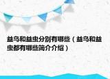 益鳥和益蟲分別有哪些（益鳥和益蟲都有哪些簡介介紹）