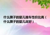 什么牌子的嬰兒推車性價比高（什么牌子的嬰兒床好）