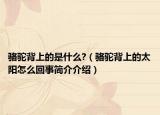 駱駝背上的是什么?（駱駝背上的太陽(yáng)怎么回事簡(jiǎn)介介紹）