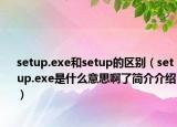 setup.exe和setup的區(qū)別（setup.exe是什么意思啊了簡(jiǎn)介介紹）