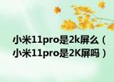 小米11pro是2k屏么（小米11pro是2K屏嗎）