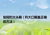 如何釣大頭鰱（釣大口鰱魚正確的方法）
