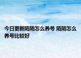 今日更新陌陌怎么養(yǎng)號(hào) 陌陌怎么養(yǎng)號(hào)比較好