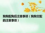 狗狗配狗后注意事項（狗狗交配的注意事項）