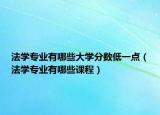 法學(xué)專業(yè)有哪些大學(xué)分?jǐn)?shù)低一點(diǎn)（法學(xué)專業(yè)有哪些課程）