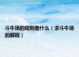 斗牛場的規(guī)則是什么（求斗牛場的解釋）