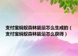 支付寶螞蟻森林能量怎么生成的（支付寶螞蟻森林能量怎么獲得）