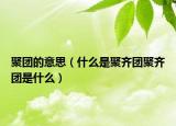 聚團的意思（什么是聚齊團聚齊團是什么）