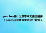 peaches是什么意思中文百度翻譯（peaches是什么意思簡介介紹）