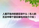 人最不怕冷的器官是什么（在人的五官中哪個器官最怕冷簡介介紹）