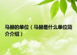 馬赫的單位（馬赫是什么單位簡介介紹）