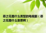 惡之花是什么類型的電視?。◥褐ㄊ鞘裁匆馑及。? /></span></a>
                        <h2><a href=