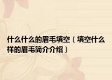 什么什么的眉毛填空（填空什么樣的眉毛簡介介紹）