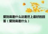 愛到底是什么這是世上最好的回答（愛到底是什么）