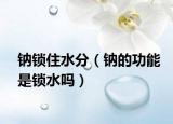 鈉鎖住水分（鈉的功能是鎖水嗎）