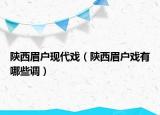 陜西眉戶現(xiàn)代戲（陜西眉戶戲有哪些調(diào)）