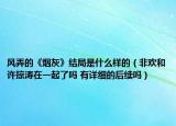 風(fēng)弄的《煙灰》結(jié)局是什么樣的（非歡和許掠濤在一起了嗎 有詳細(xì)的后續(xù)嗎）