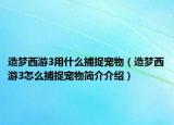 造夢西游3用什么捕捉寵物（造夢西游3怎么捕捉寵物簡介介紹）