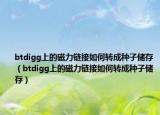 btdigg上的磁力鏈接如何轉(zhuǎn)成種子儲存（btdigg上的磁力鏈接如何轉(zhuǎn)成種子儲存）