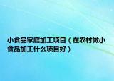 小食品家庭加工項目（在農(nóng)村做小食品加工什么項目好）