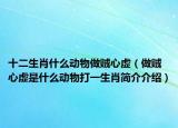 十二生肖什么動物做賊心虛（做賊心虛是什么動物打一生肖簡介介紹）