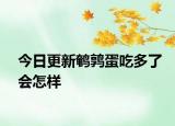今日更新鵪鶉蛋吃多了會(huì)怎樣