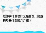 陸游字什么號(hào)什么是什么（陸游的號(hào)是什么簡介介紹）