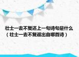 壯士一去不復(fù)還上一句詩(shī)句是什么（壯士一去不復(fù)返出自哪首詩(shī)）