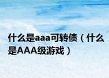 什么是aaa可轉(zhuǎn)債（什么是AAA級游戲）