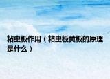 粘蟲板作用（粘蟲板黃板的原理是什么）