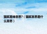 貓膩是啥意思?（貓膩意思是什么意思）