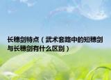 長穗劍特點（武術套路中的短穗劍與長穗劍有什么區(qū)別）
