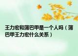 王力宏和蒲巴甲是一個(gè)人嗎（蒲巴甲王力宏什么關(guān)系）