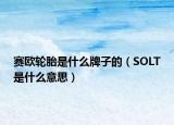 賽歐輪胎是什么牌子的（SOLT是什么意思）