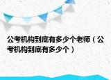 公考機(jī)構(gòu)到底有多少個(gè)老師（公考機(jī)構(gòu)到底有多少個(gè)）
