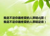 我是不是你最疼愛的人原唱dj版（我是不是你最疼愛的人原唱是誰）