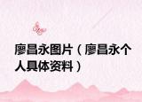 廖昌永圖片（廖昌永個(gè)人具體資料）