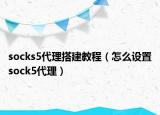 socks5代理搭建教程（怎么設(shè)置sock5代理）