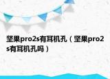 堅果pro2s有耳機孔（堅果pro2s有耳機孔嗎）
